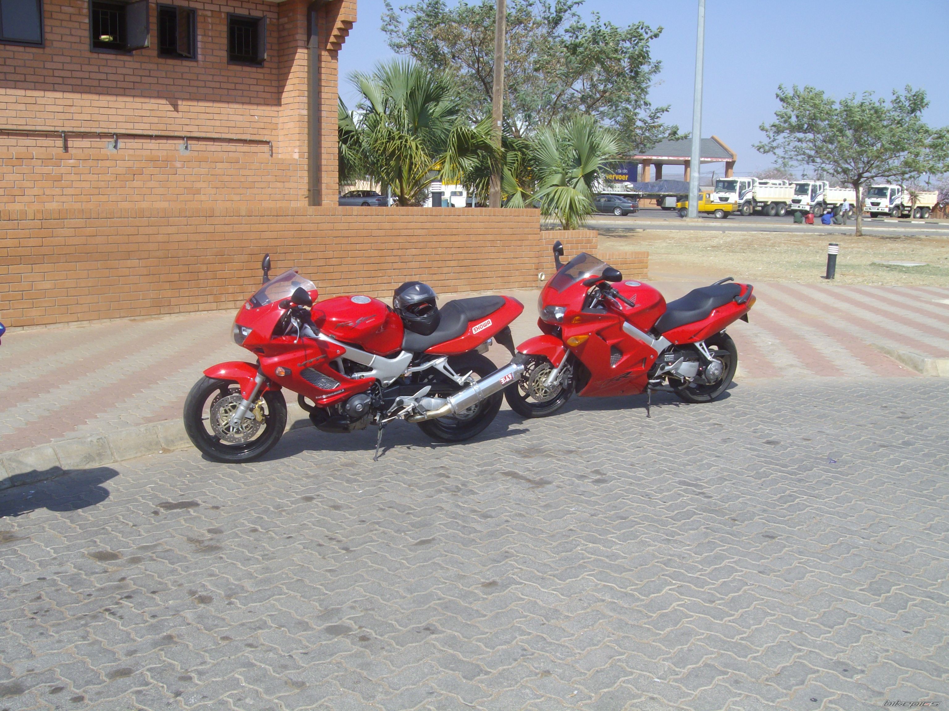 Photo 1021032