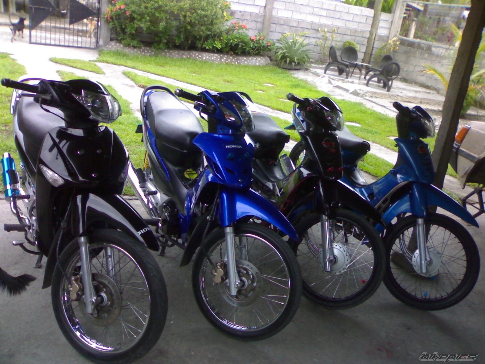 Bike Photo 1021055