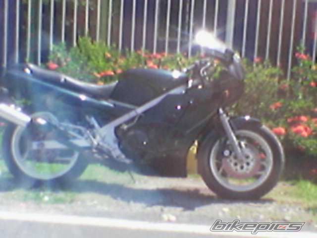 Photo 1021074