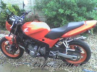 Photo 1021123