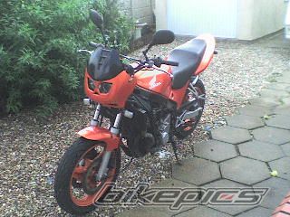 Photo 1021125