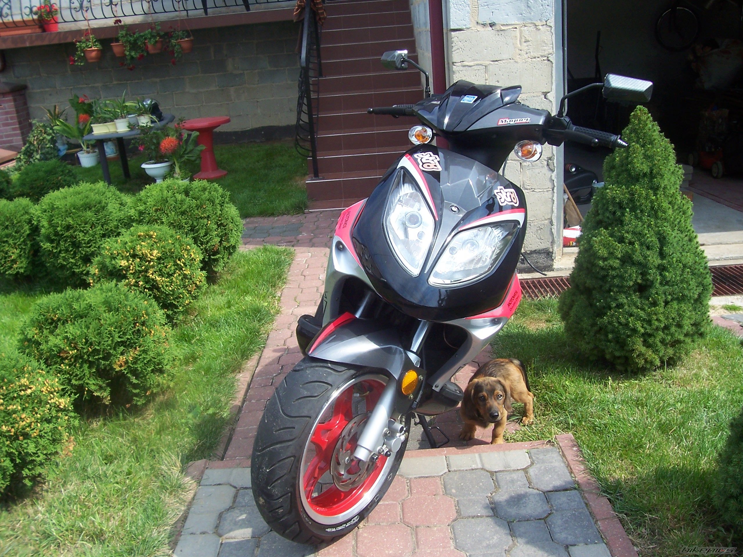 Bike Photo 1021341