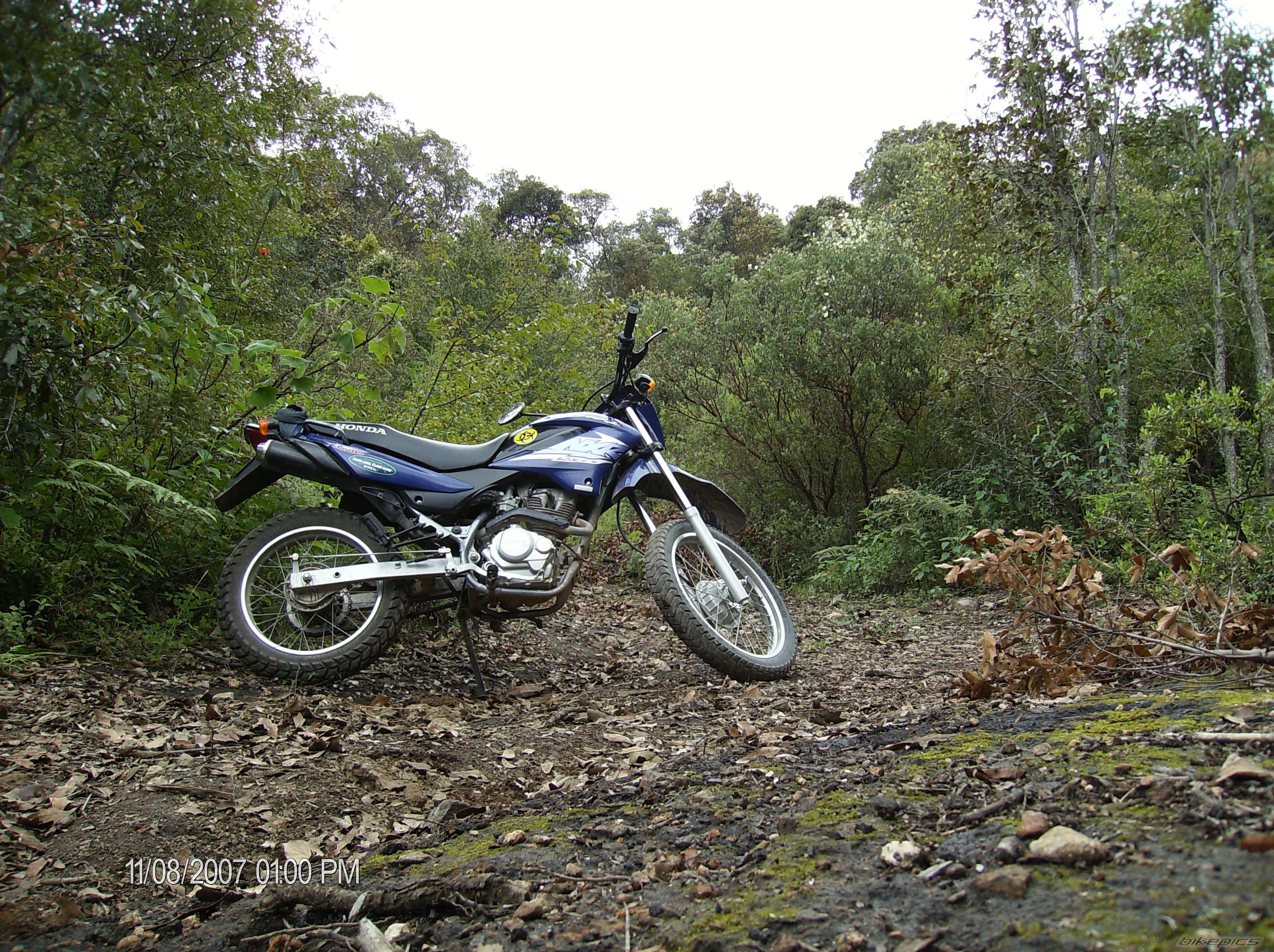 Bike Photo 1021348