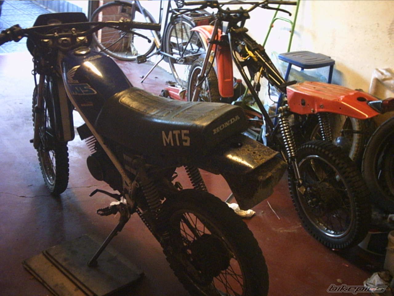 Photo 1021444