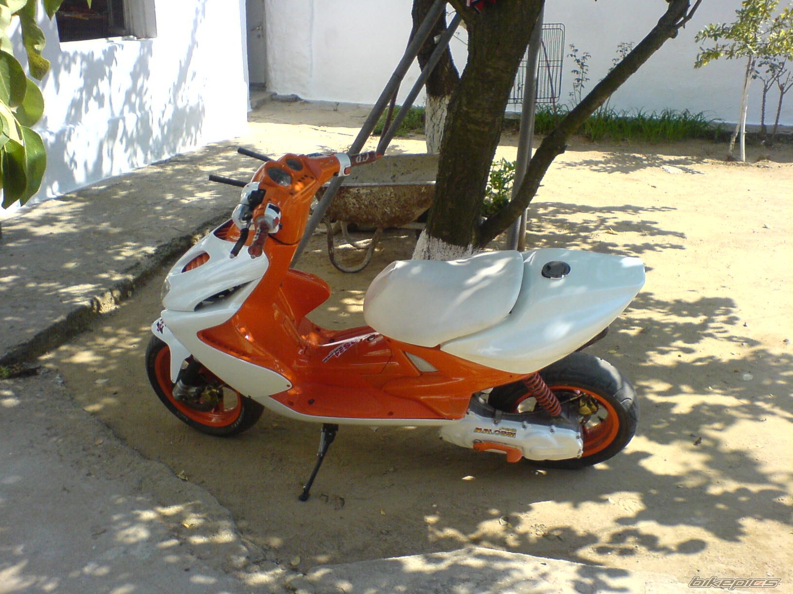 Photo 1021468