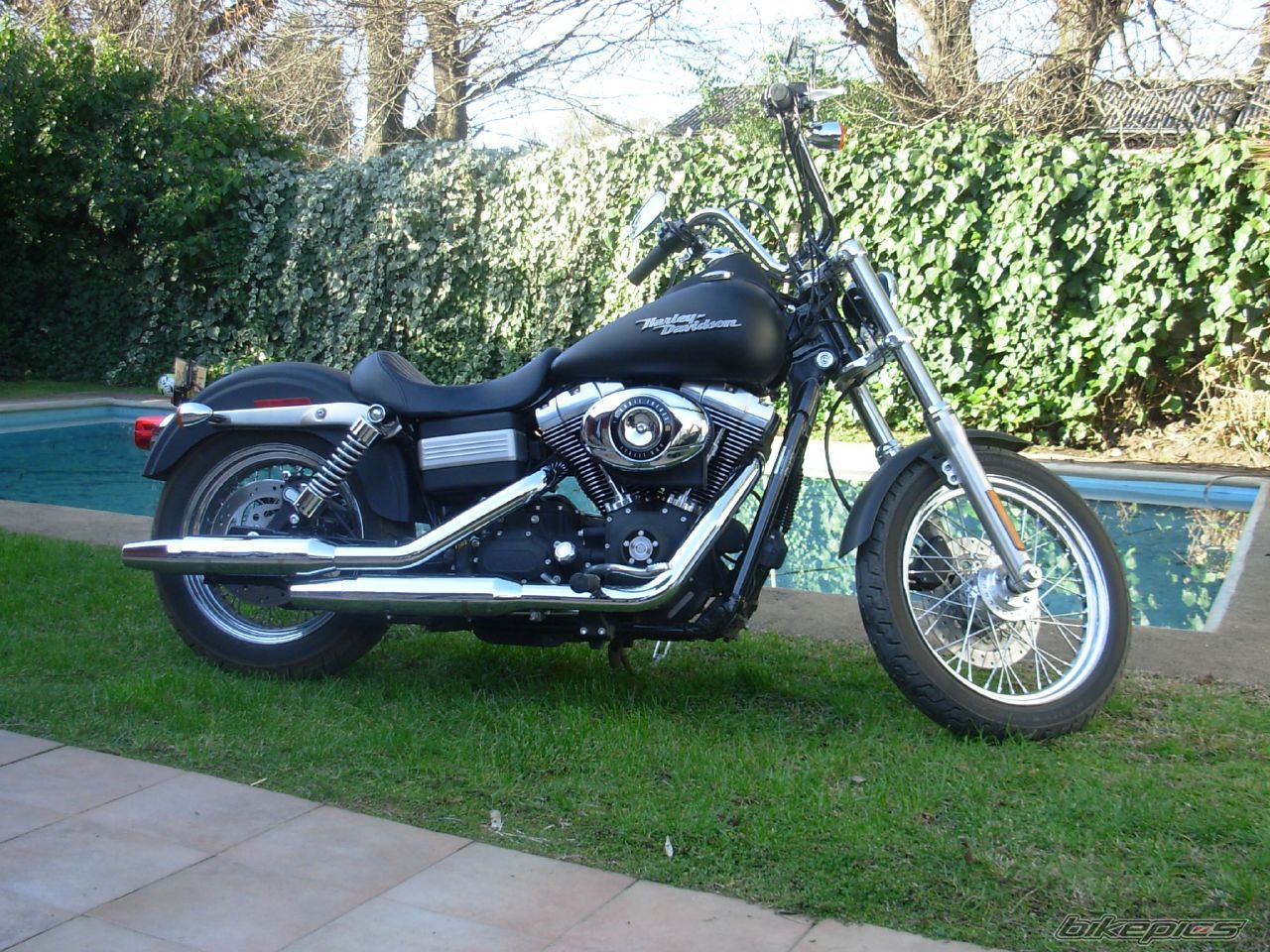 Photo 1021471