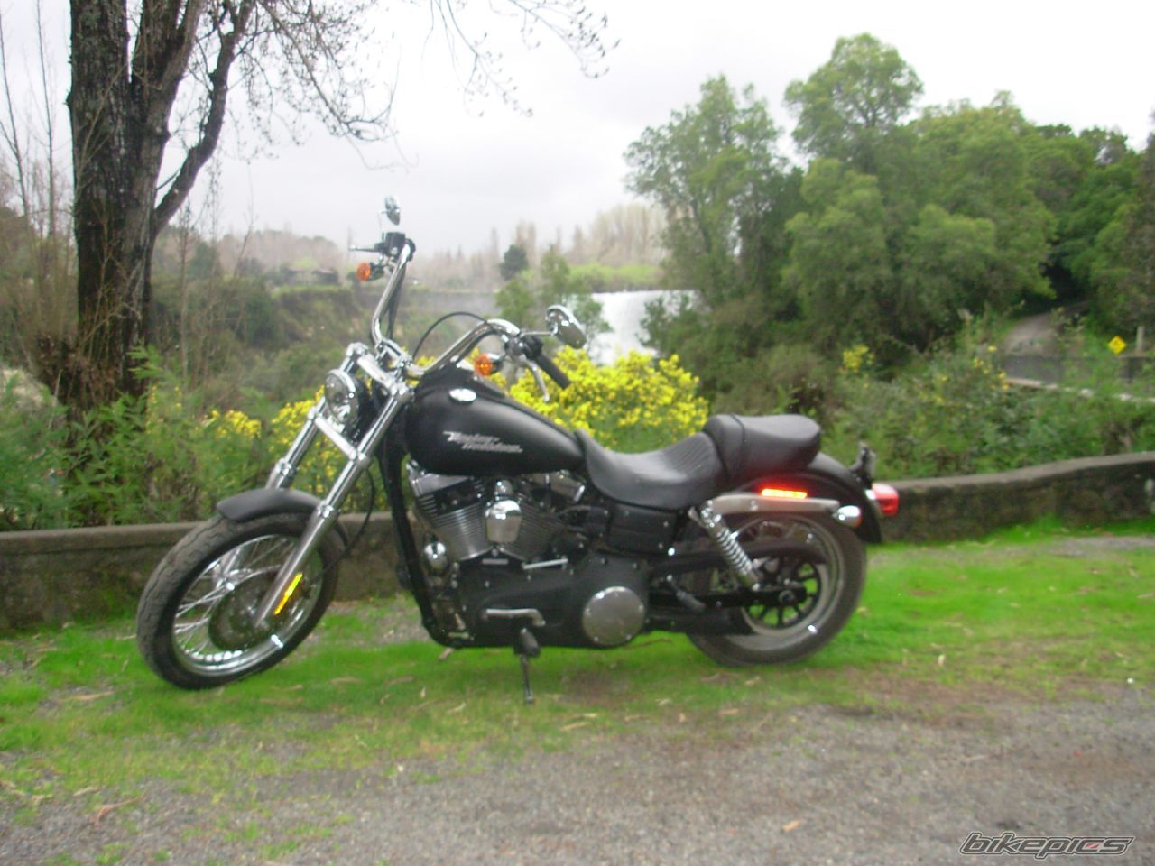 Photo 1021473