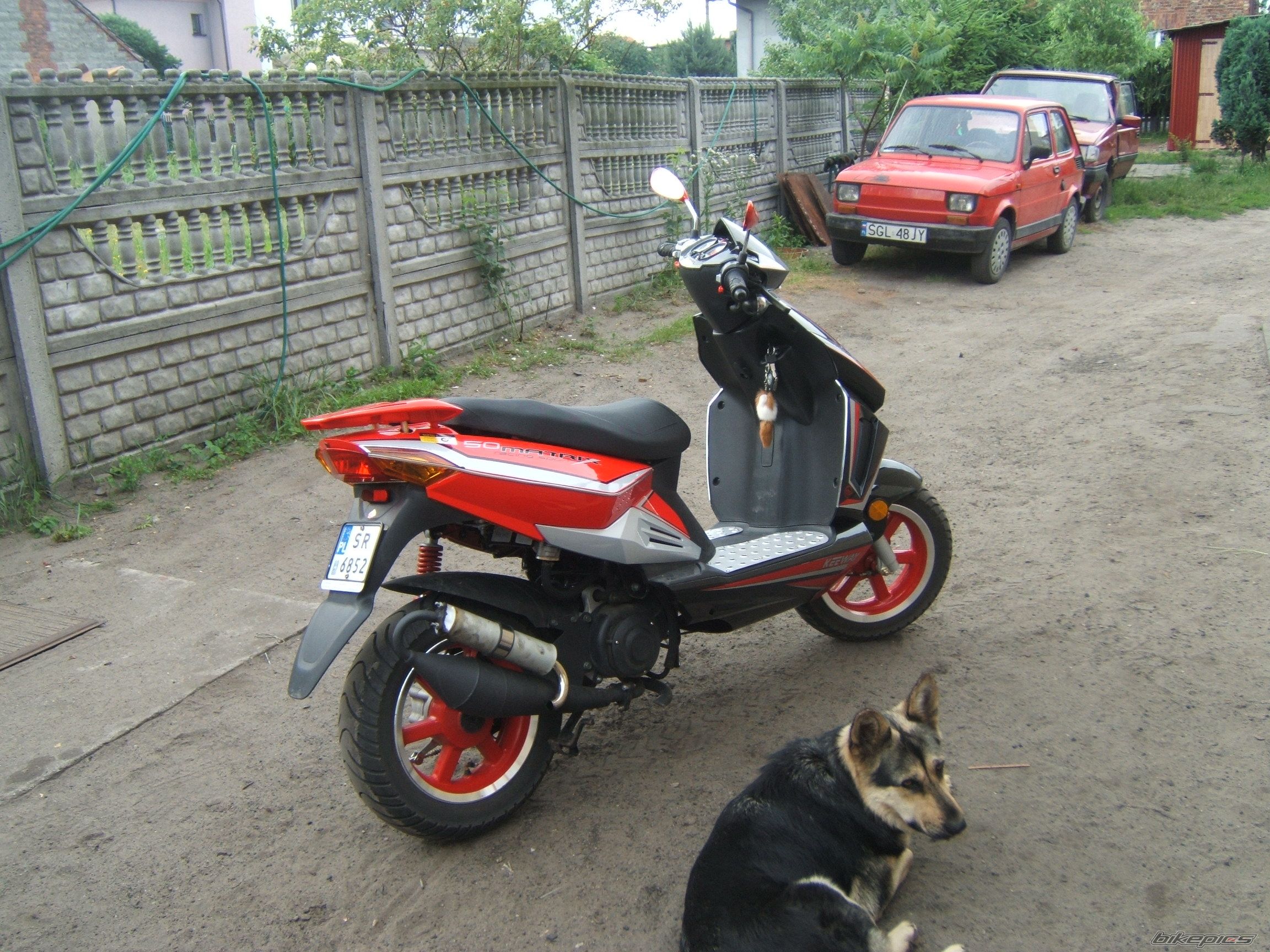 Bike Photo 1021495