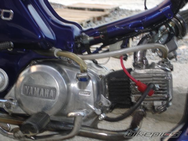 Photo 1021541