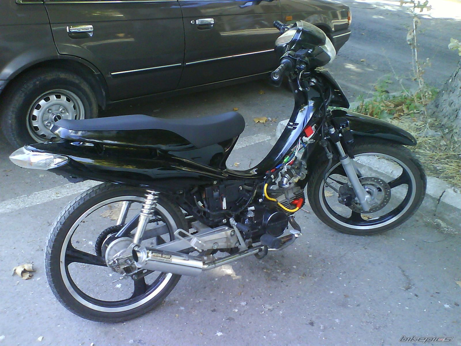 Photo 1021675