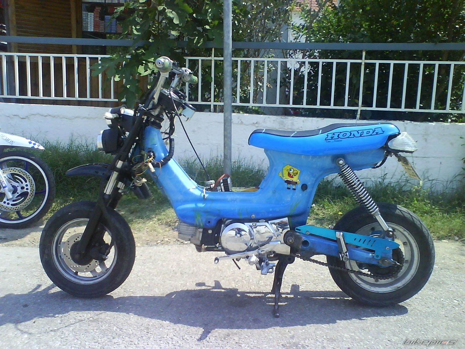 Photo 1021679