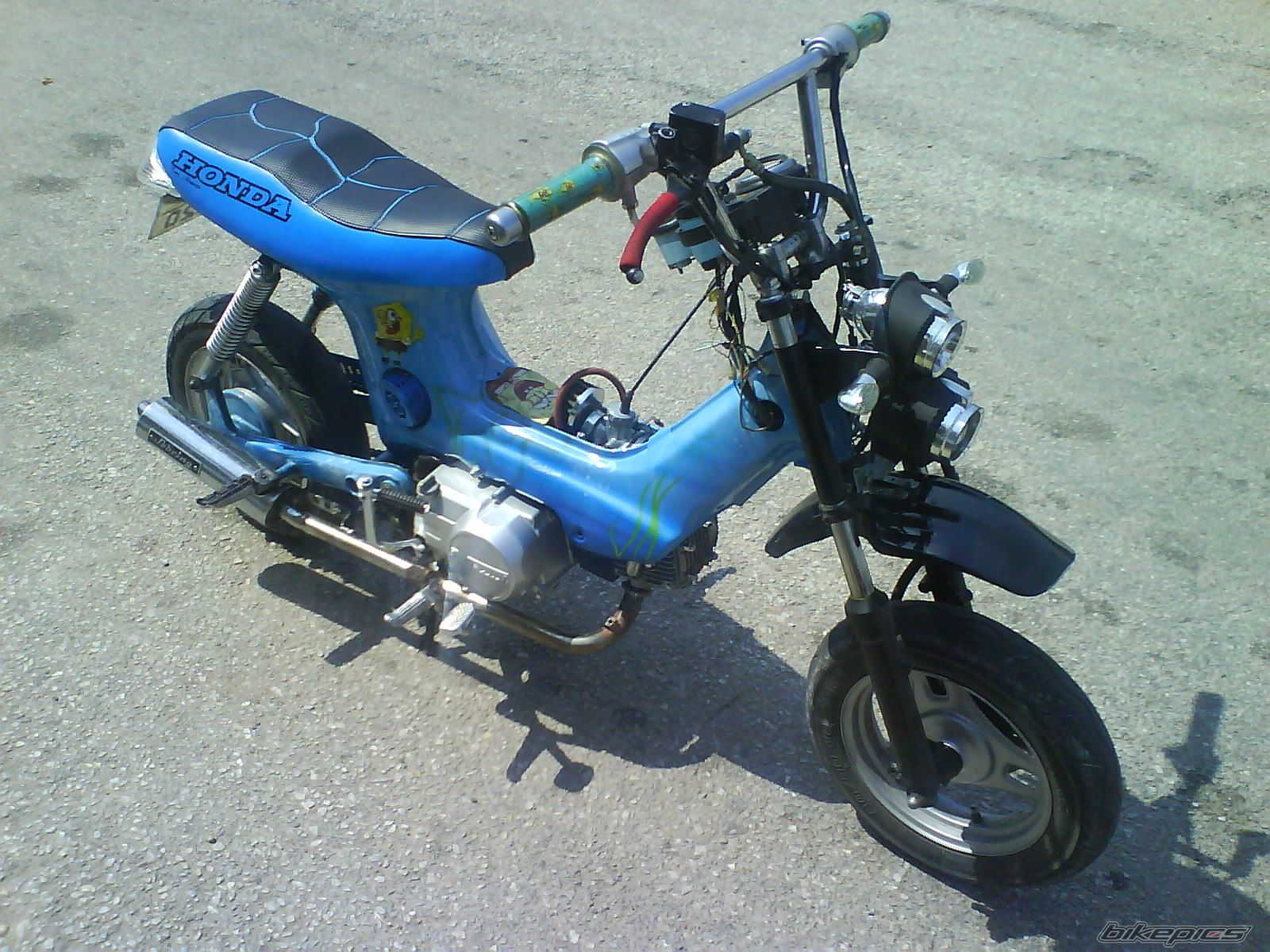 Photo 1021688