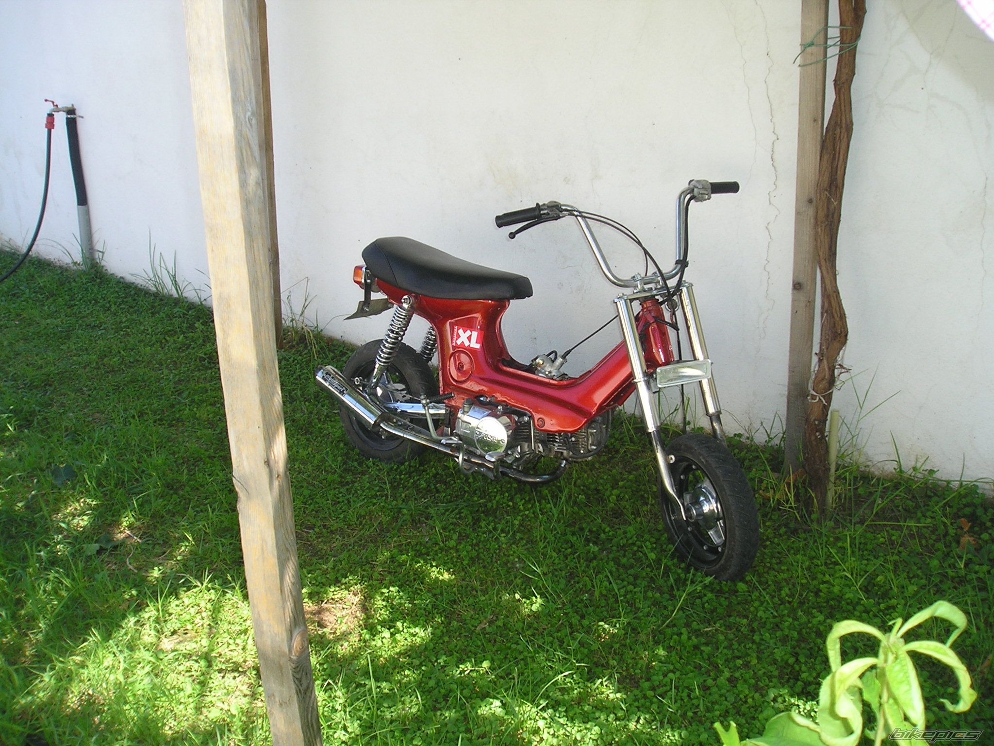 Photo 1021704