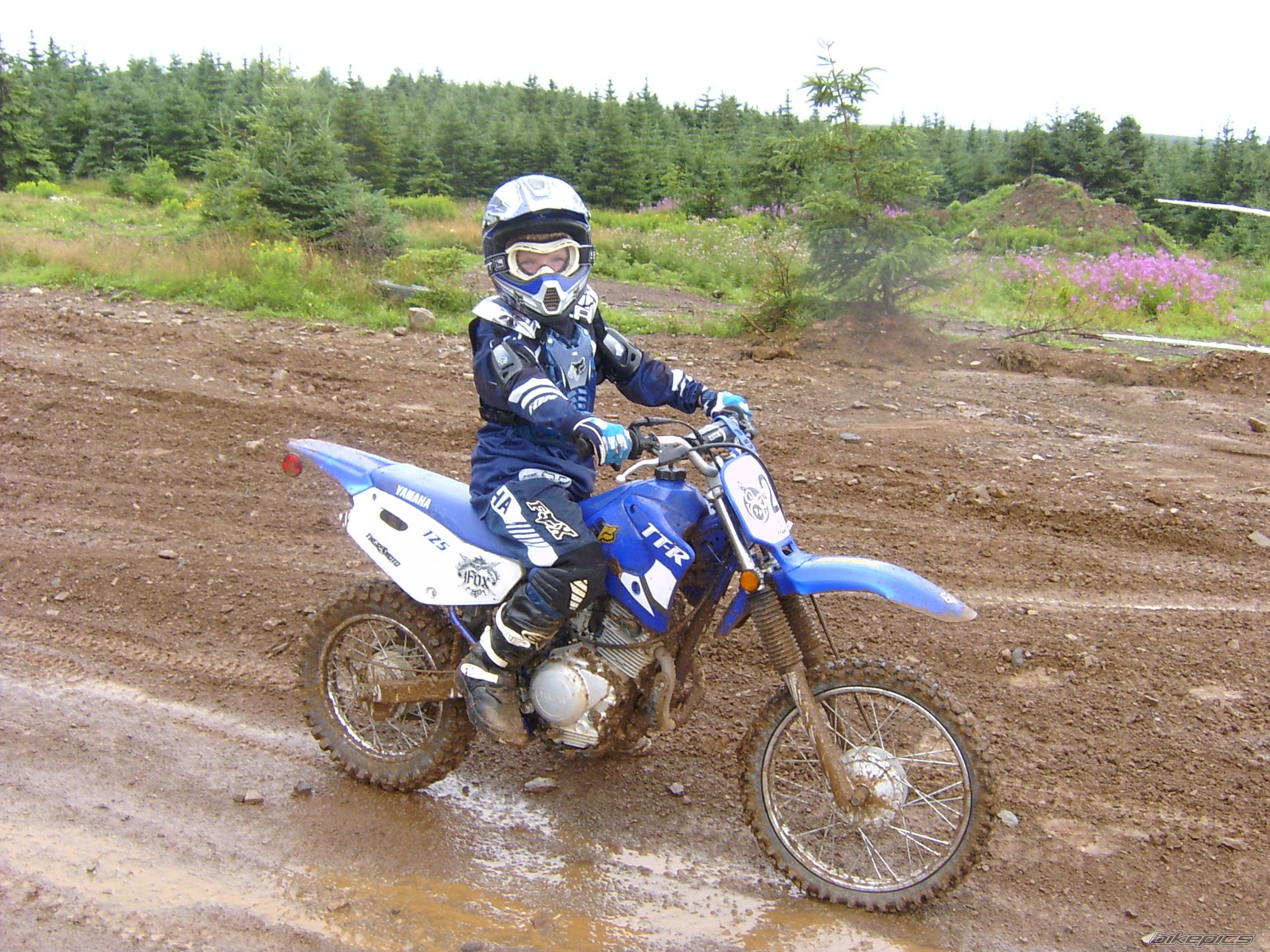 Photo 1021754