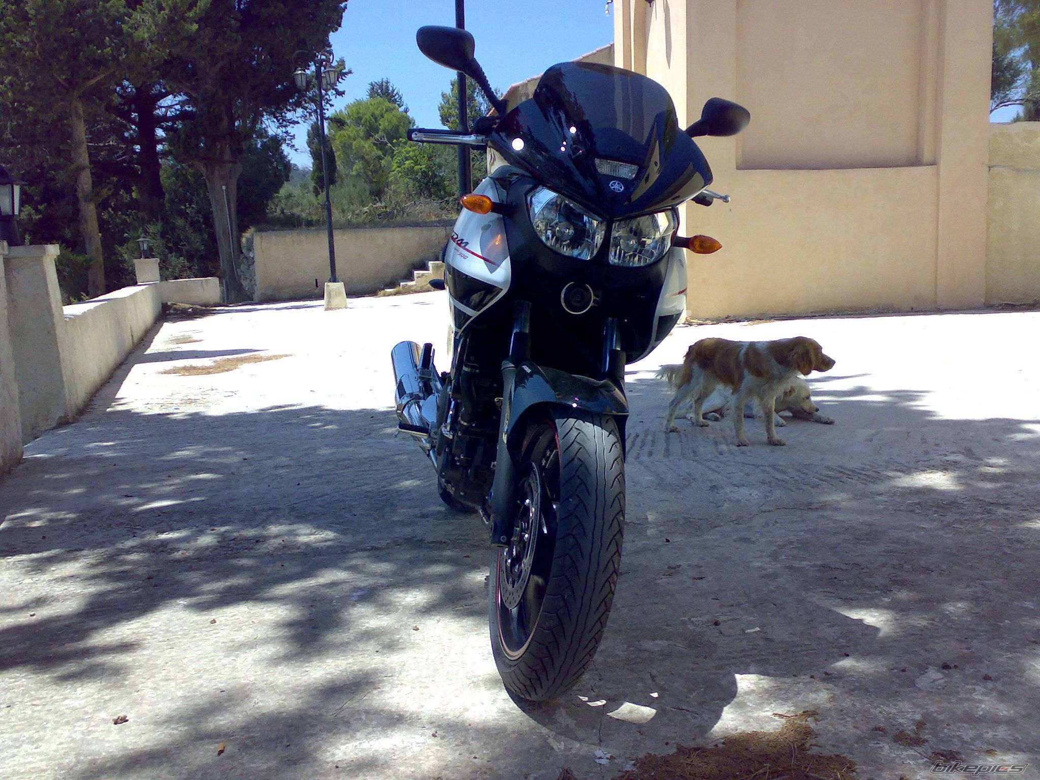 Bike Photo 1021795