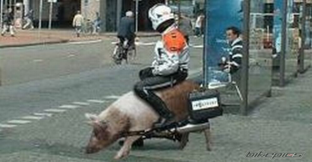 Bike Photo 1021892