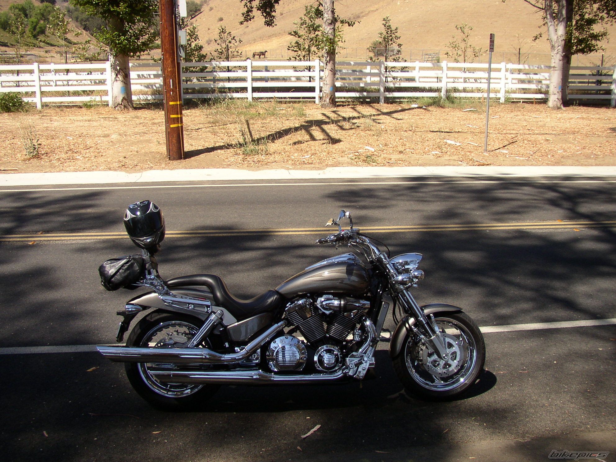 Photo 1021931