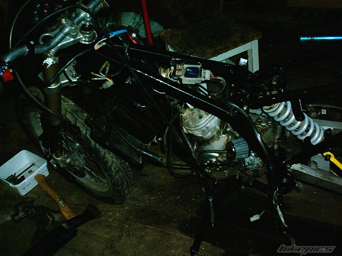 Photo 102197