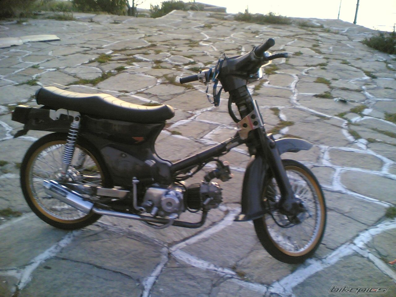 Photo 1022081