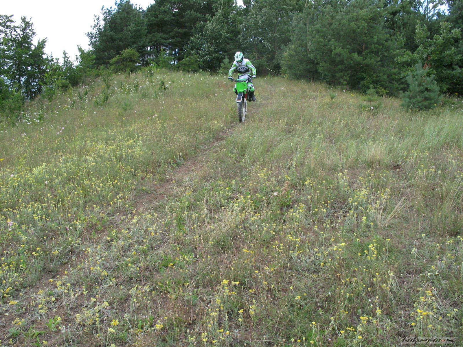 Photo 1022184