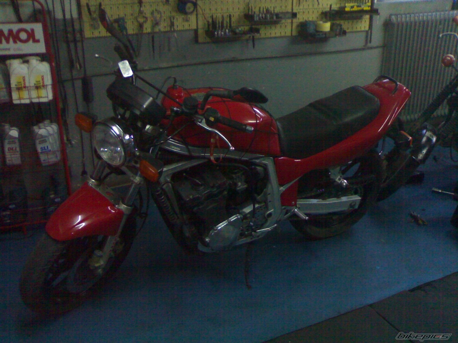 Photo 1022242