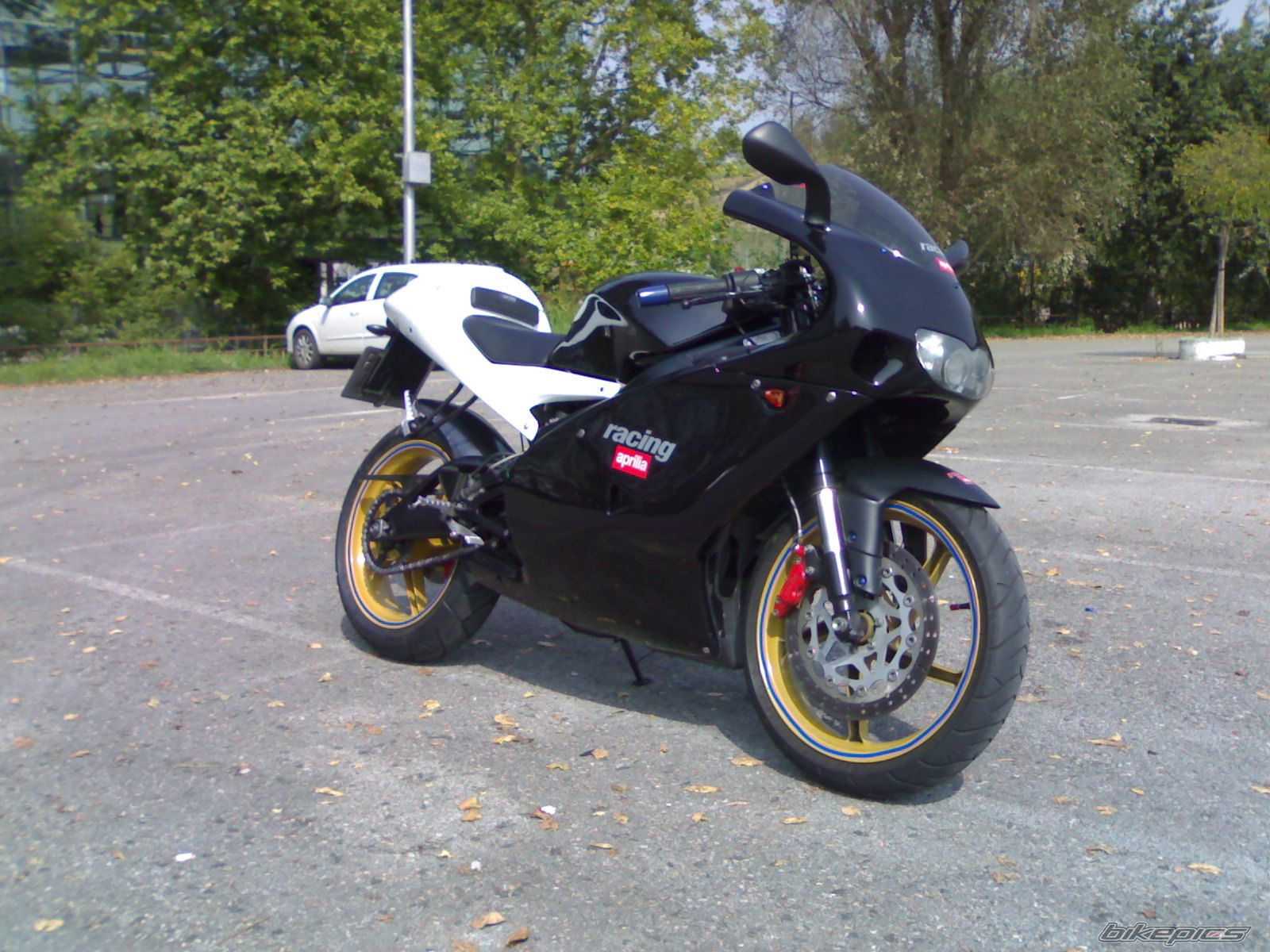 Photo 1022451