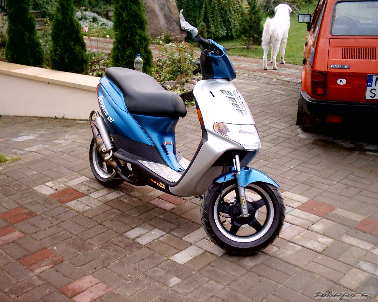 Photo 1022537