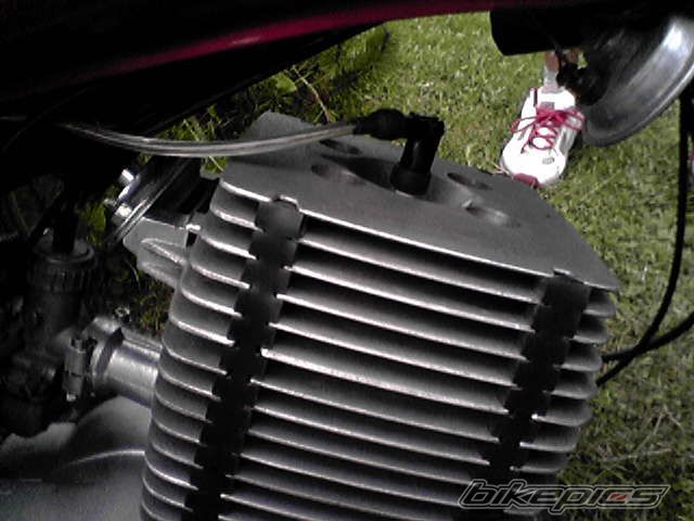 Photo 1022625