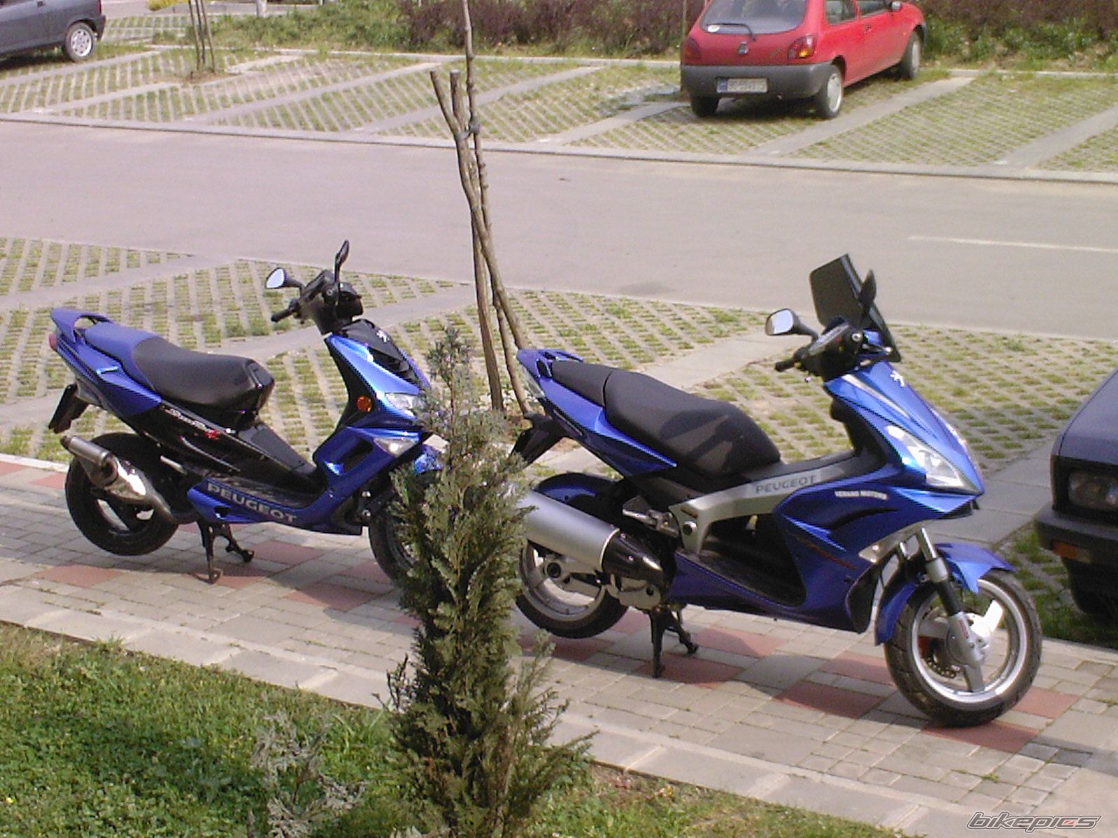 Photo 1022640