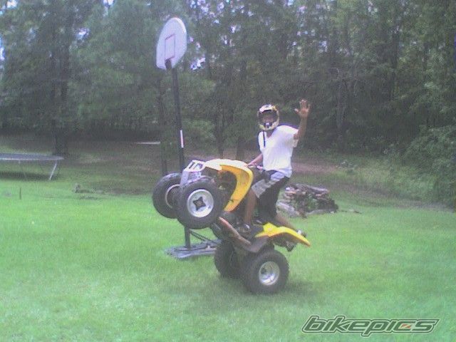 Photo 1022687