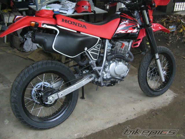 Photo 1022728