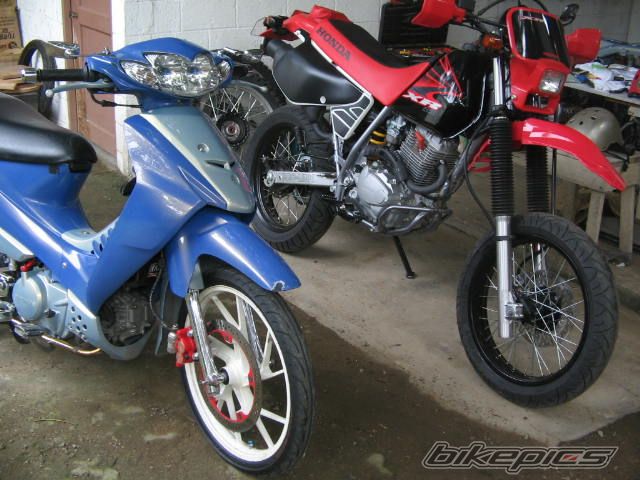 Photo 1022729