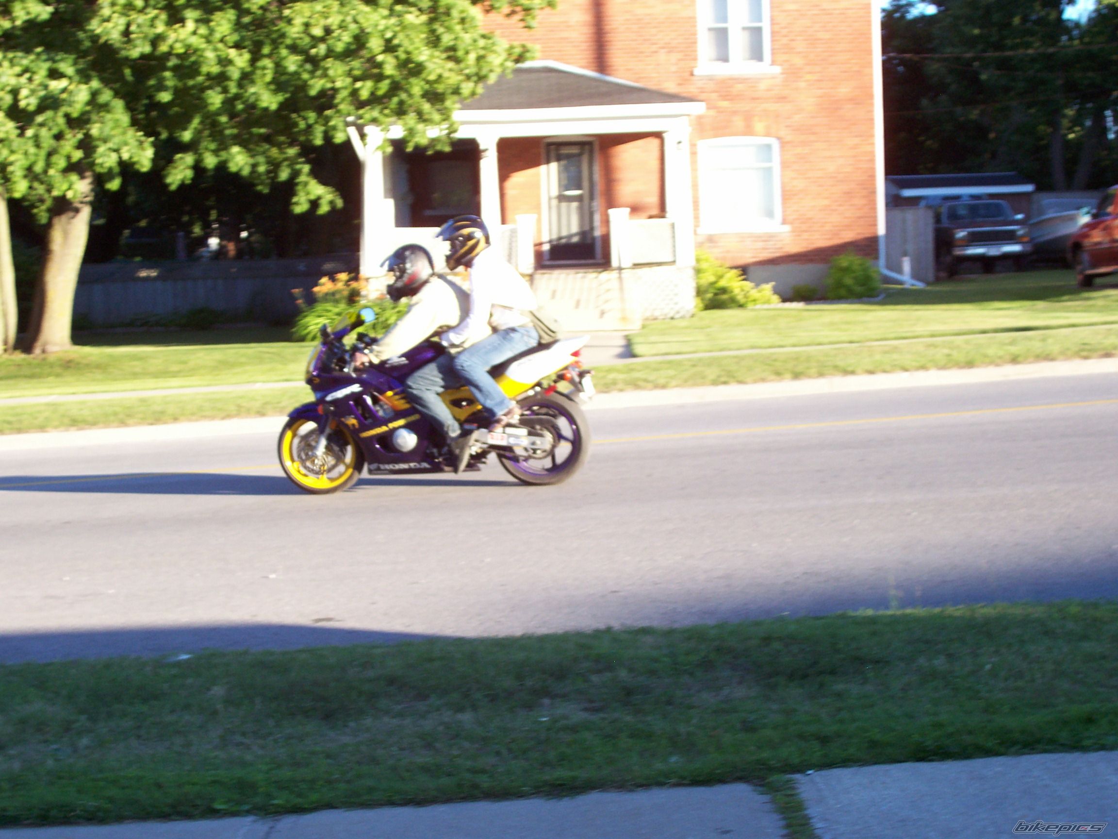 Photo 1022735