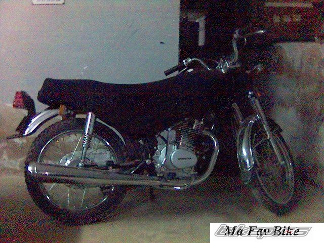 Photo 1022782