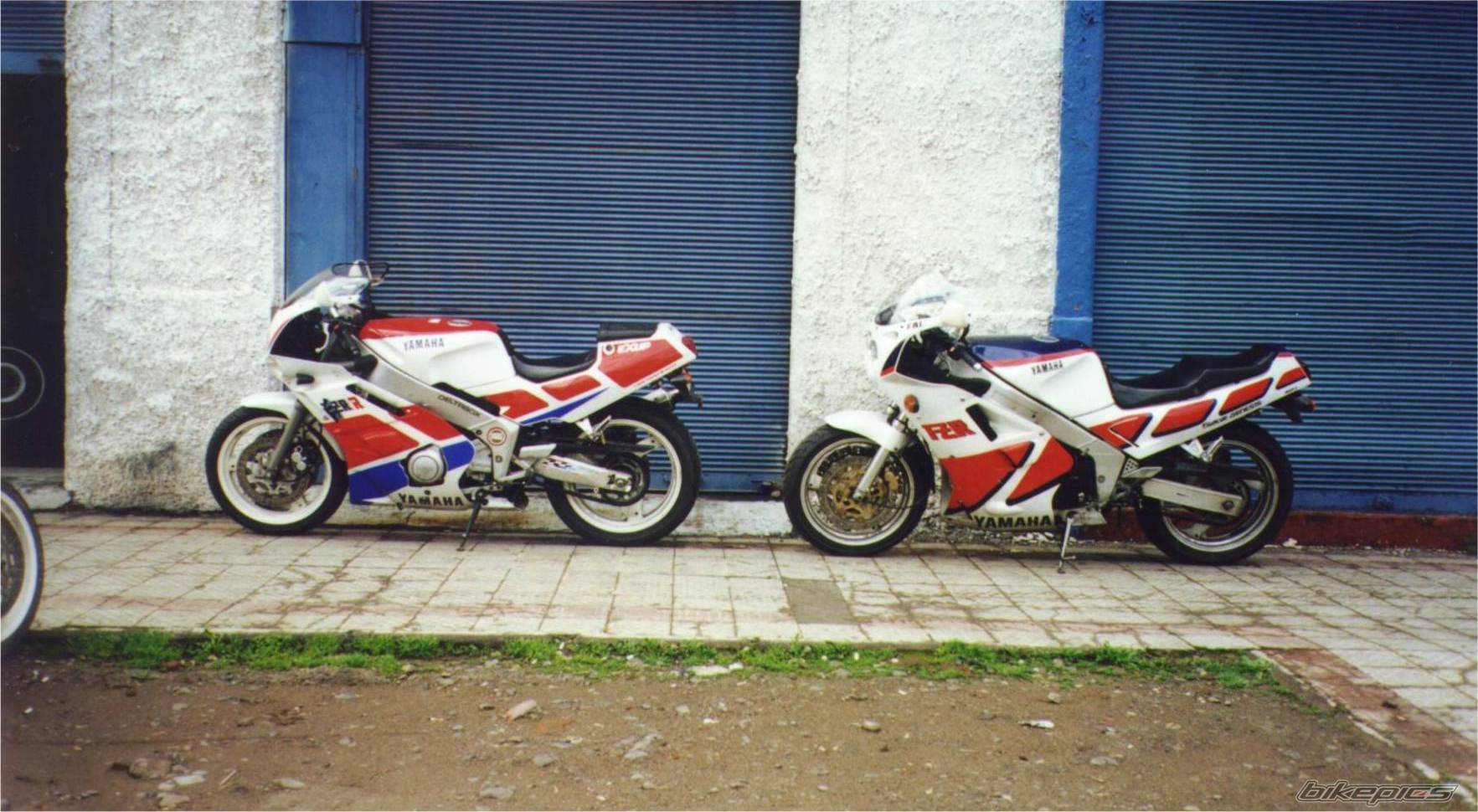 Photo 10228