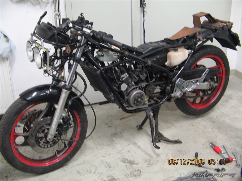 Photo 1022938