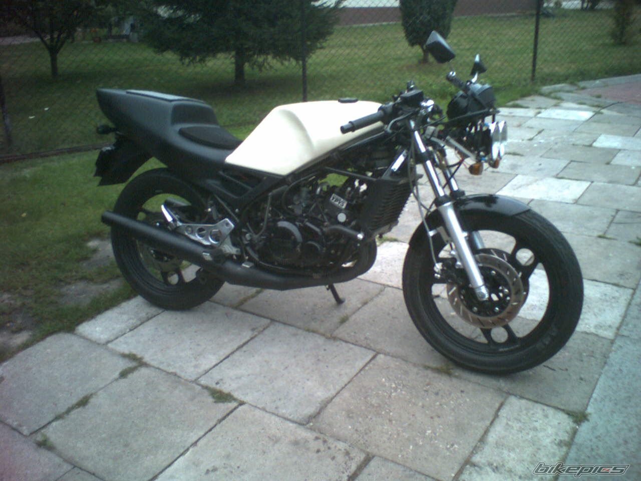 Photo 1022944