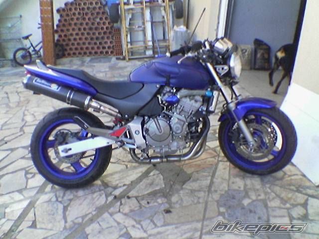 Photo 1022965