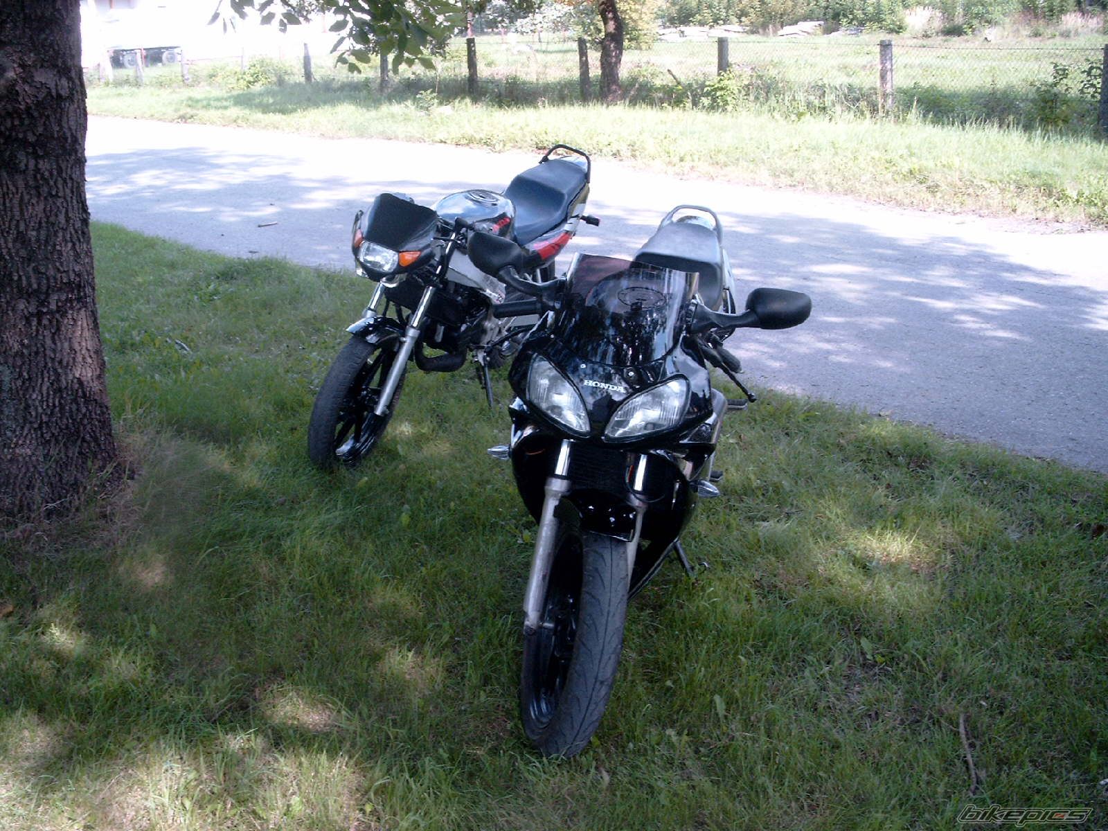 Photo 1023039