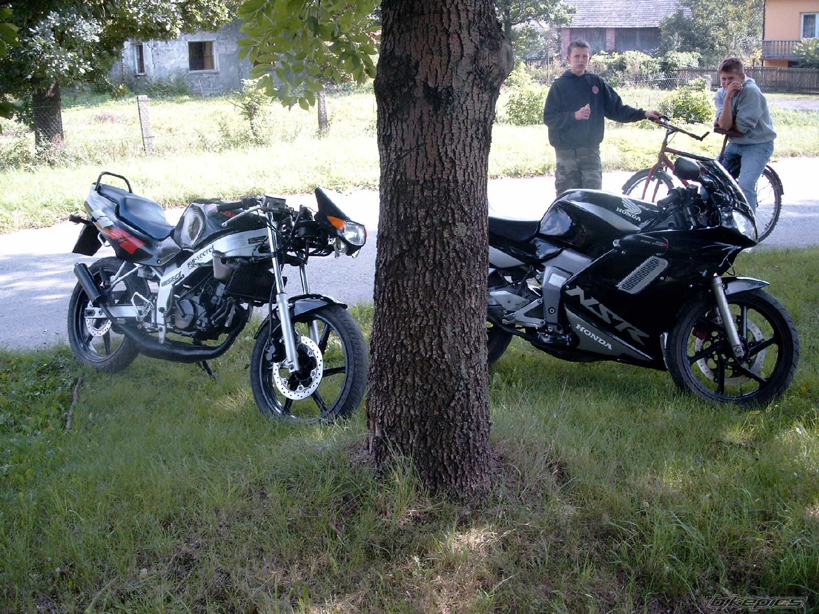 Photo 1023044