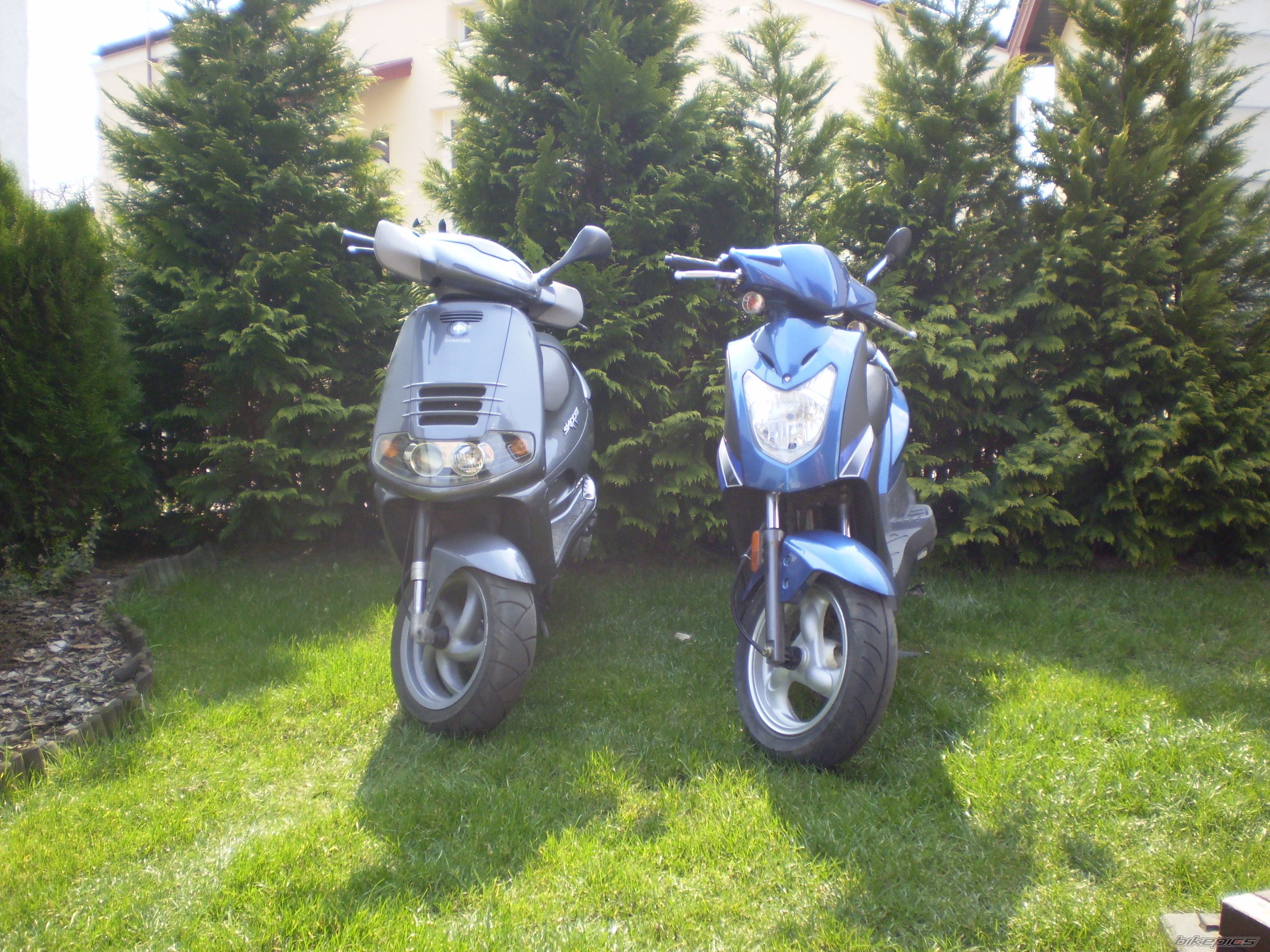 Photo 1023126