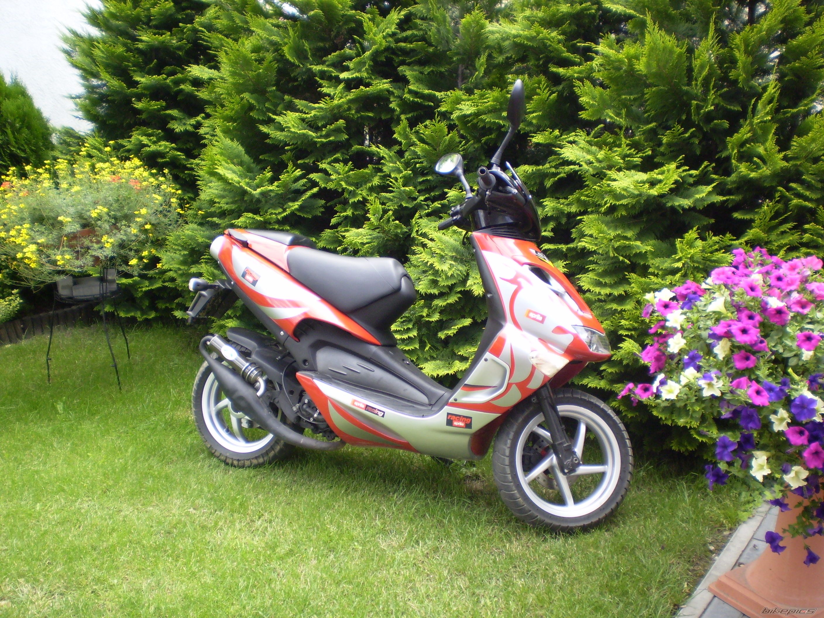 Bike Photo 1023171
