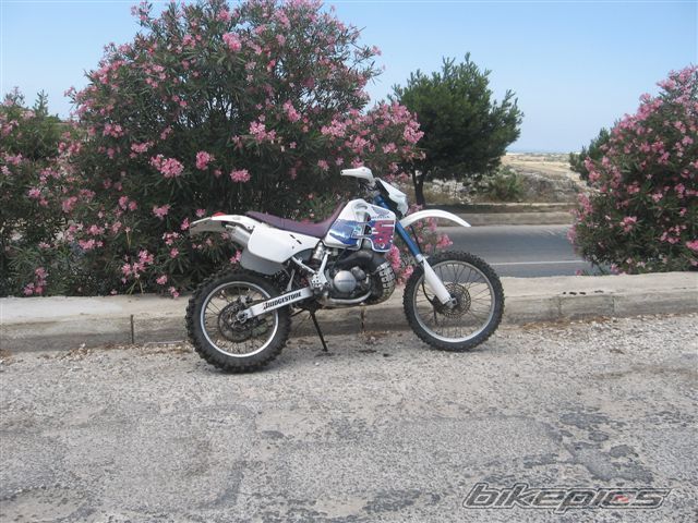 Photo 1023189