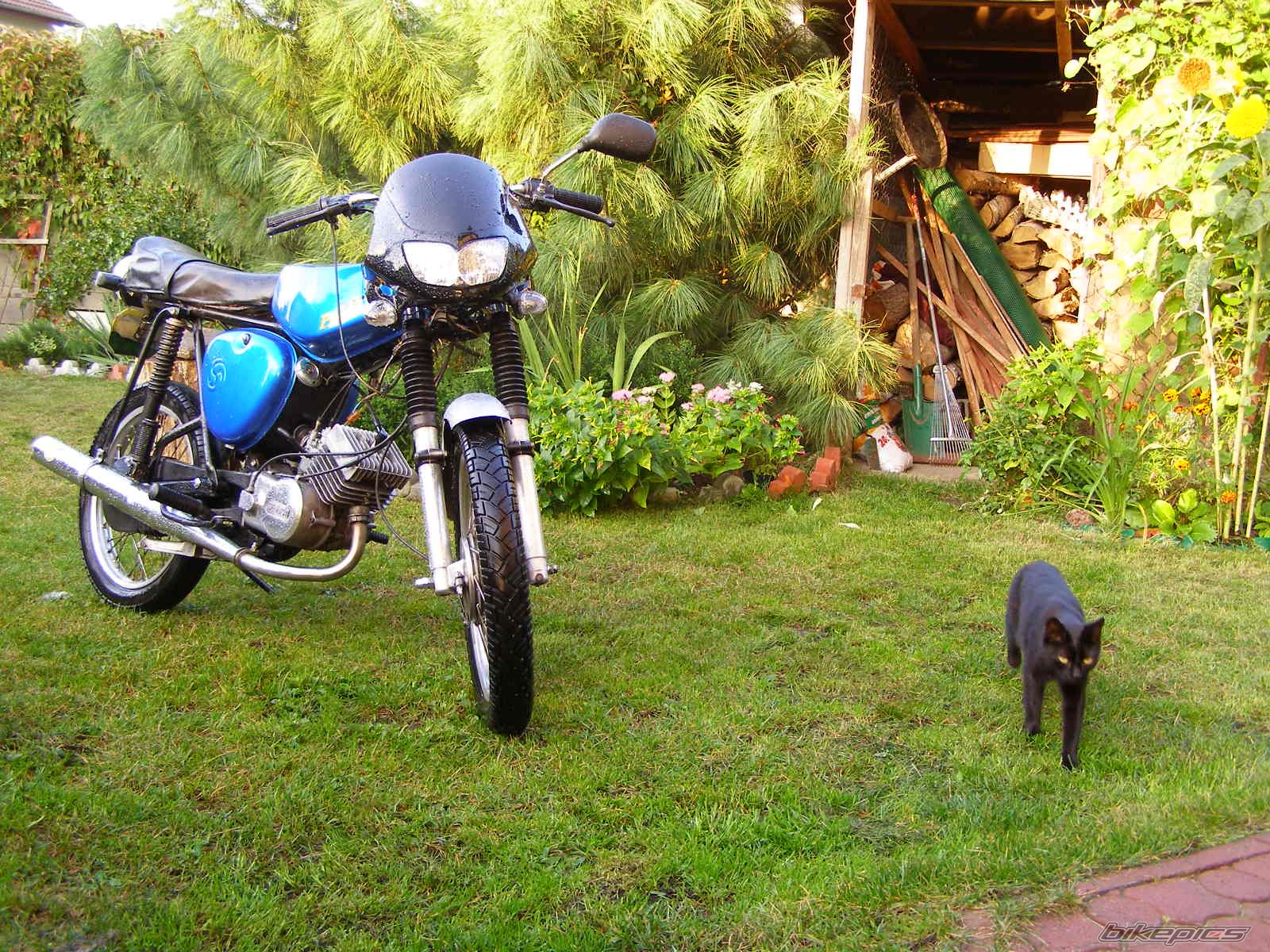 Photo 1023326