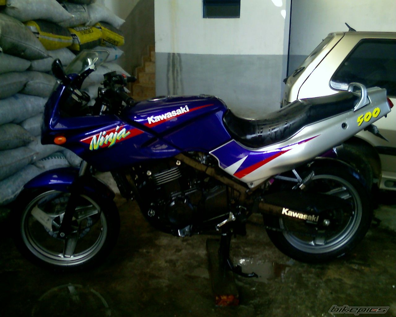 Photo 1023382