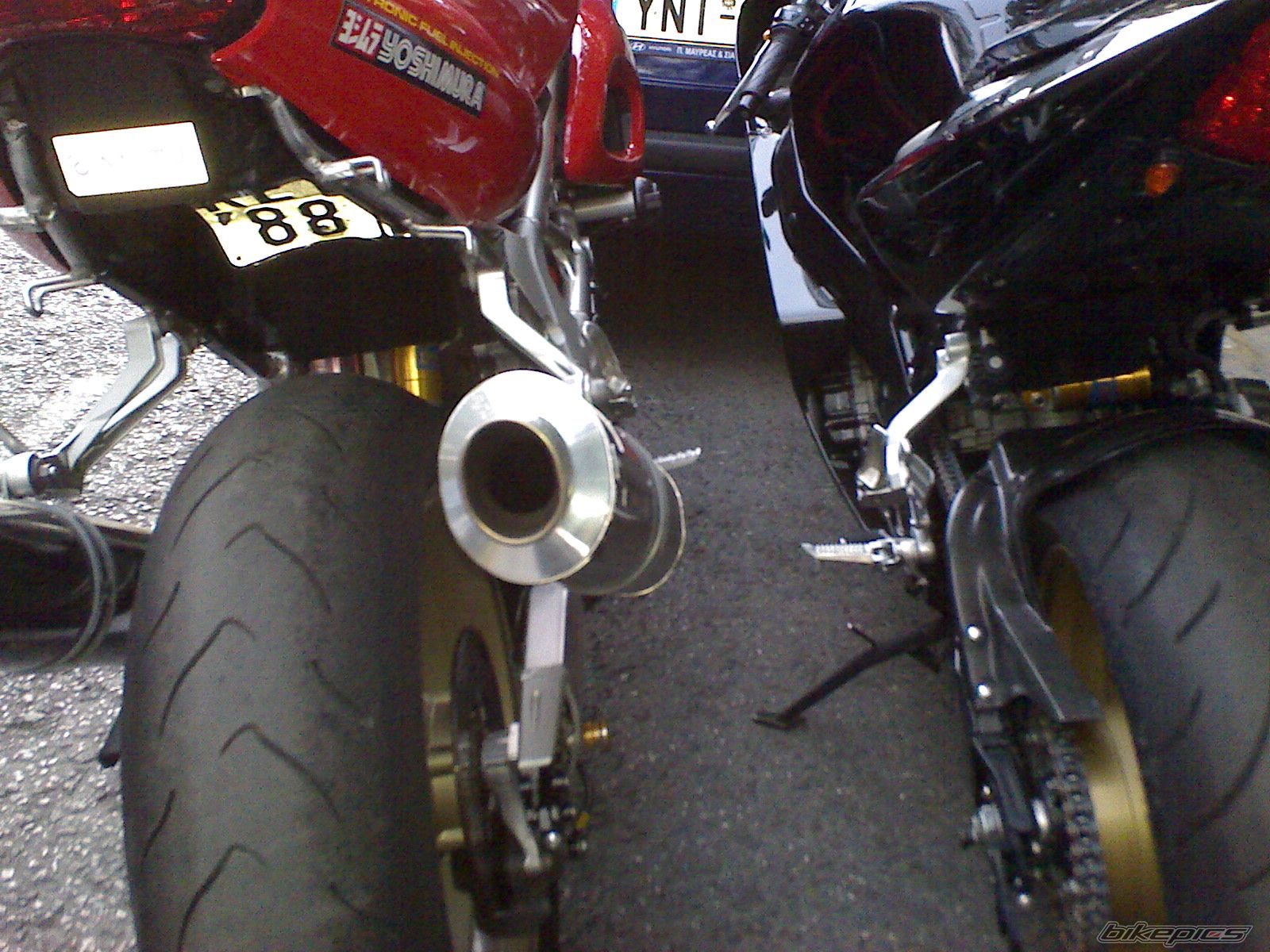 Photo 1023571