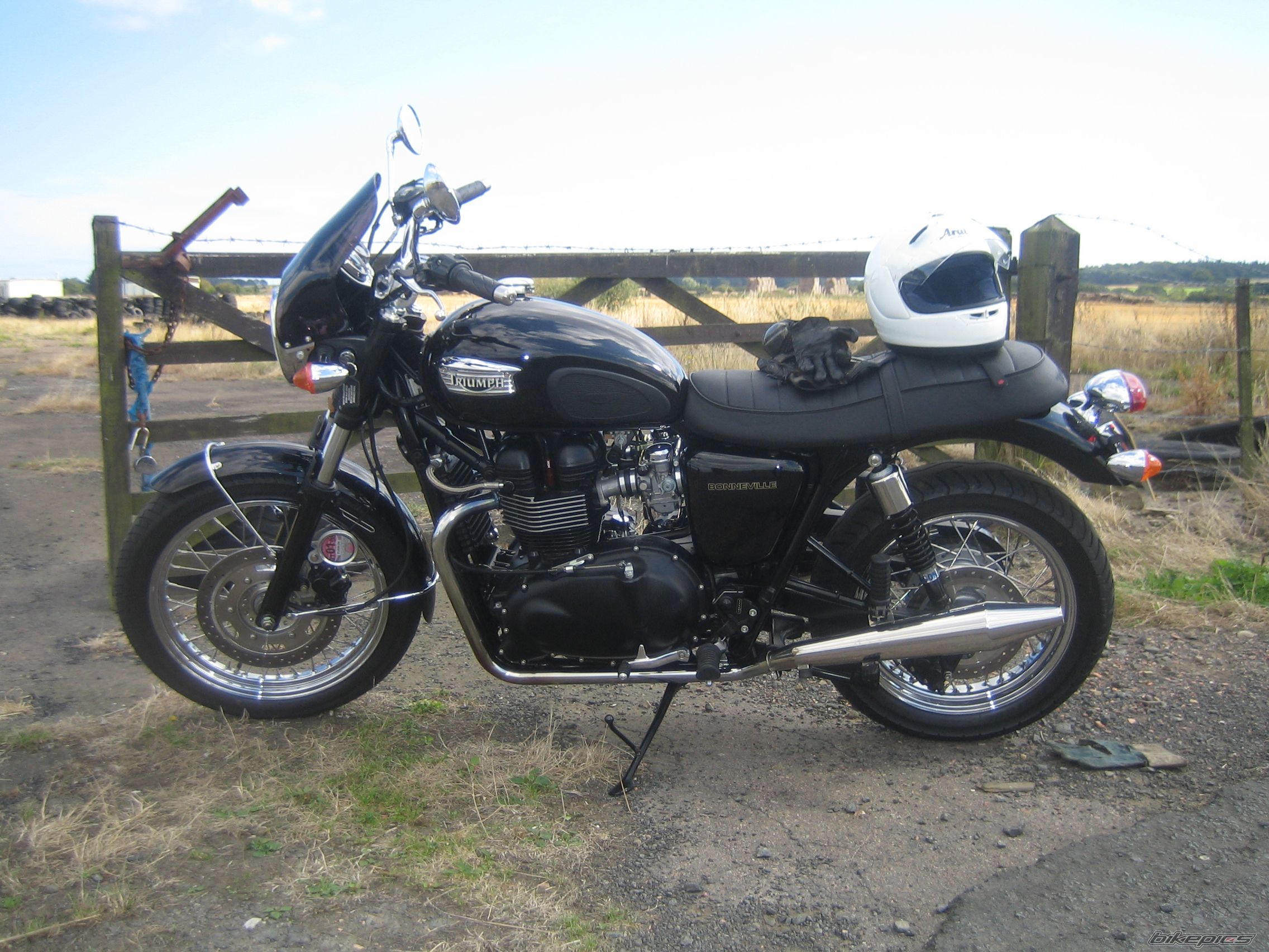 Photo 1023573