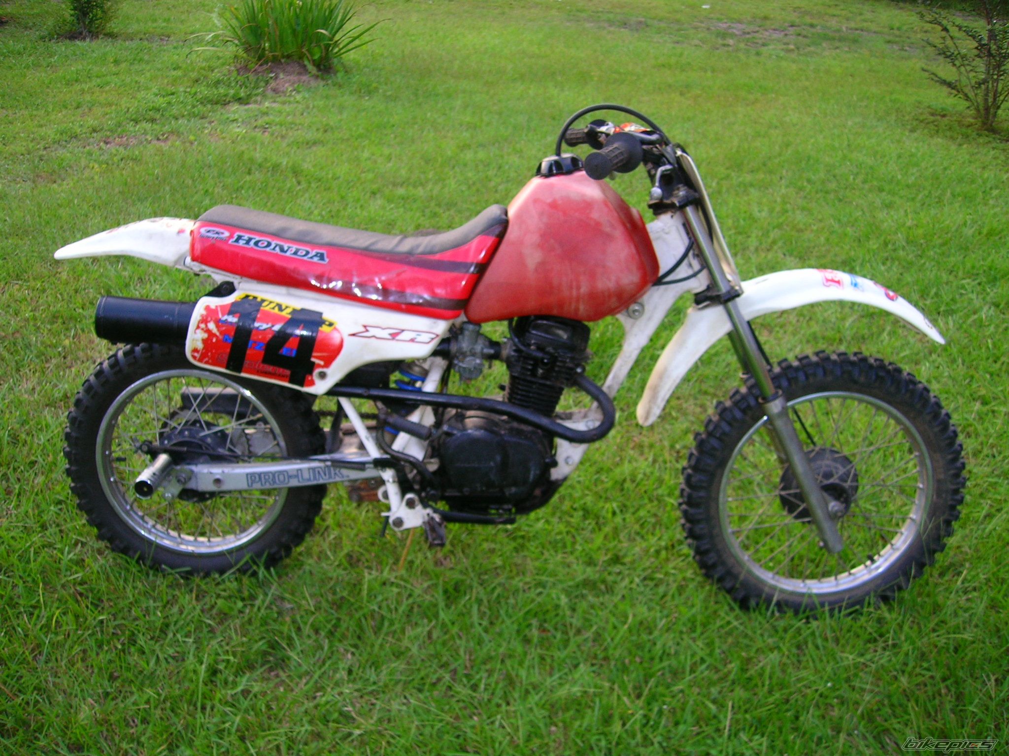 Bike Photo 1023686