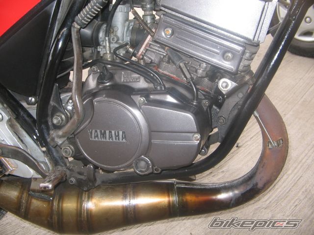 Photo 1023707