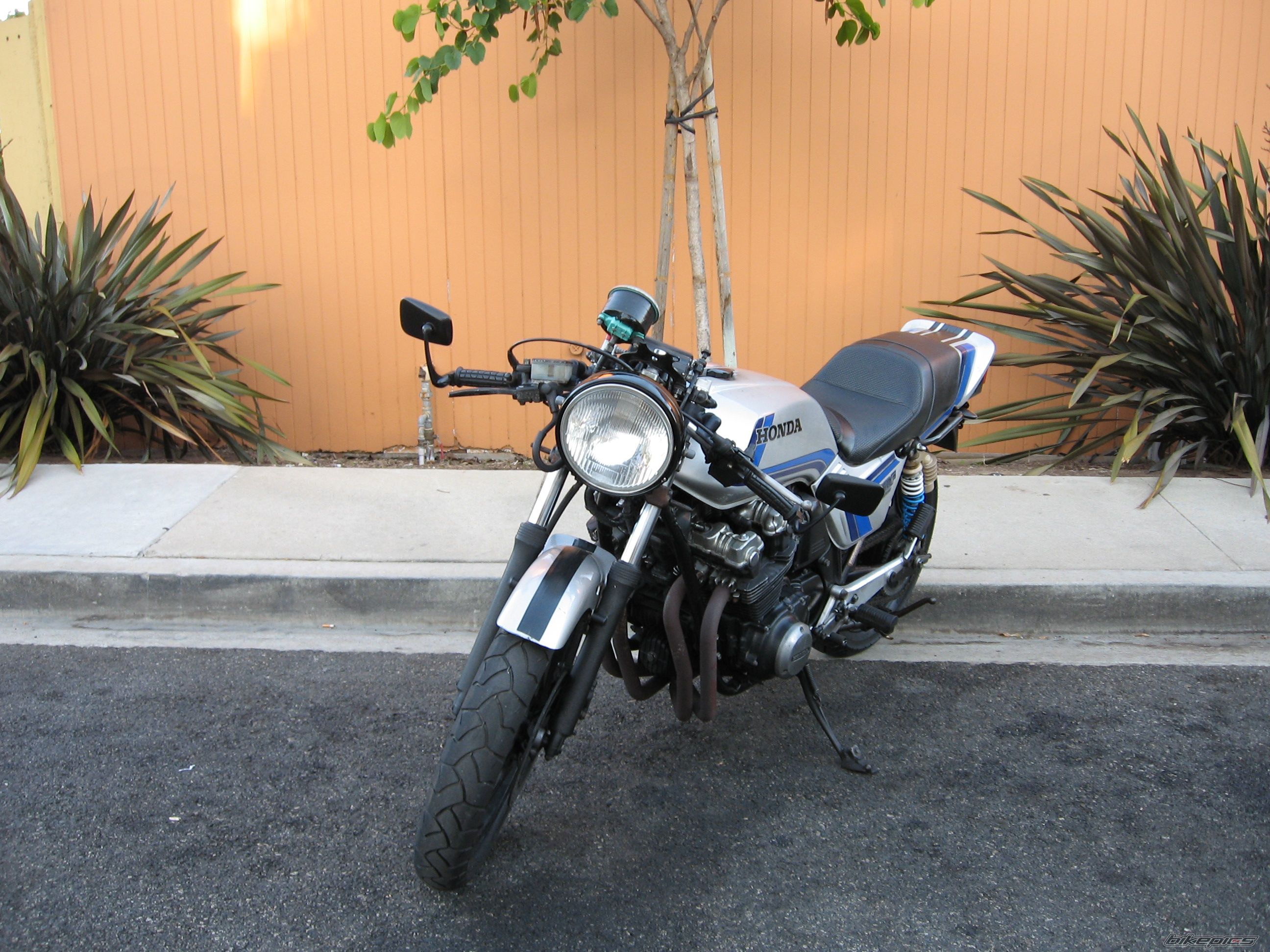 Photo 1023768